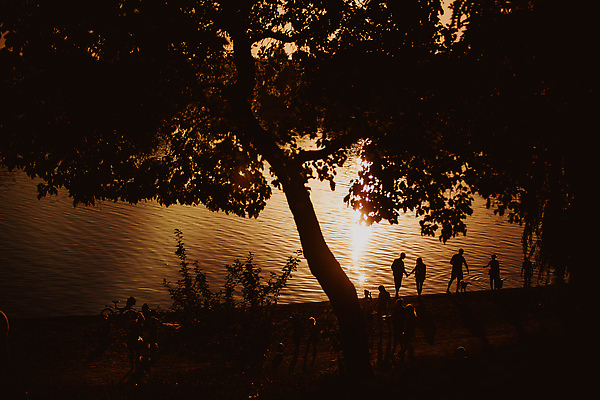 포토 JPG 해외이미지 나무 라이프스타일 여자 행복 실루엣 바다 여행 백그라운드 자연 하늘 호텔 휴가 휴식 손바닥 사람 앉기 사람없음 물 뷰티 반사 여행객 일출 침묵 일몰 낭만 최고 고급 빌라 휴양지 부주의 파라다이스 혼자 해외202309 해외포토 자연요소 식물 손 감정 컨셉 모션 숙소 주택 촬영기법 생활 노을 소리 장소 생태계 파일형식