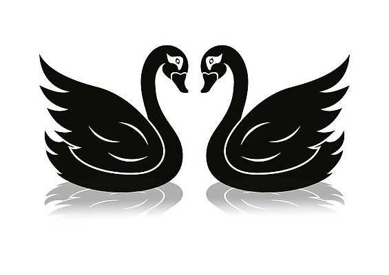 EPS 해외이미지 클립아트 모양 동물 디자인 배너 커플 실루엣 선 결혼 백그라운드 2 일러스트 자연 조류 결혼식 휴가 함께함 발렌타인데이 사랑 미술 그래픽 장식 픽토그램 뷰티 검은색 수영 낭만 흰색 신용카드 플랫 우아함 가득함 심볼 깃털 클립 백조 고립 상형문자 엘리먼트 스타일 벡터 해외202309 해외일러스트 문자 감정 컬러 컨셉 관계 데이이벤트 문화예술 촬영기법 이벤트 금융 수상스포츠 생태계 파일형식