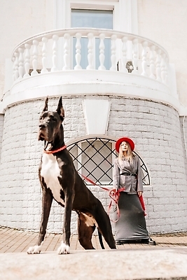 포토 JPG 해외이미지 전신 한마리 건축물 응시 여자 반려견 한명 성인 야외 앞모습 산책 잡기 대형견 목줄 성인여자한명만 그레이트덴 해외202309 해외포토 1 시선 건축 뷰포인트 모션 휴식 사람 반려동물 개 여자한명만 성인여자만 파일형식 반려용품