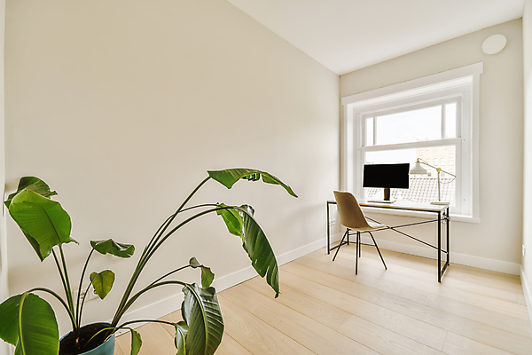 포토 JPG 해외이미지 식물 가구 거실 의자 창문 전등 실내 사람없음 내부 인테리어 모니터 방 책상 리빙 해외202309 해외포토 디자인 생활용품 조명 컴퓨터 파일형식