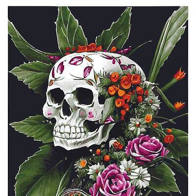 EPS 해외이미지 식물 전통 디자인 꽃 꽃다발 백그라운드 꽃무늬 일러스트 벽지 호박 골격 뿔 미술 사람 그래픽 장식 초록색 뷰티 파티 머리 봄 할로윈 수확 덮개 흰색 죽음 업무 화려 치아 떨어짐 11월 심볼 복고 판화 고딕 해골모형 활자 벡터 해외202309 해외일러스트 계절 컬러 컨셉 무늬 농업 채소 문화예술 이벤트 신체부위 모형 뚜껑 작업 소화기관 날짜 활자판 파일형식