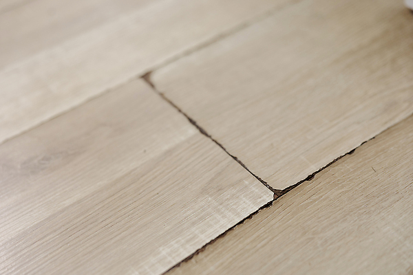 포토 JPG 해외이미지 직업 가정 표면 바닥 주택 사람없음 내부 물 갈색 손상 젖음 거친 재산 수리 닫기 수분 홍수 청소 서비스 질감 먼지 청소부 보험 나쁜 돌봄 옛날 위생관리 합판 회복 해외202309 해외포토 자연요소 컬러 컨셉 모션 관리 건물 금융 자연재해 파일형식