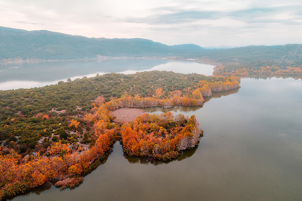 포토 JPG 해외이미지 나무 식물 호수 야생동물 섬 여행 백그라운드 자연 하늘 휴가 산 안테나 파노라마 국립공원 사람없음 야외 초록색 물 하이앵글 컬러풀 햇빛 뷰티 반사 환경 안개 숲 칠면조 내추럴 드론 생태학 조감도 해외202309 해외포토 자연요소 동물 공원 교육 뷰포인트 컬러 통신 조류 날씨 촬영기법 태양 생태계 파일형식