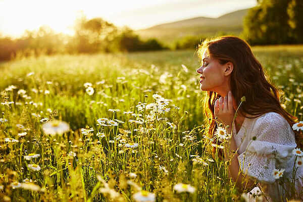 포토 JPG 해외이미지 여자 꽃밭 따뜻함 한명 상반신 성인 야외 옆모습 햇빛 눈감음 일몰 향기 개망초 성인여자한명만 해외202309 해외포토 1 꽃 뷰포인트 모션 사람 태양 노을 냄새 여자한명만 성인여자만 파일형식