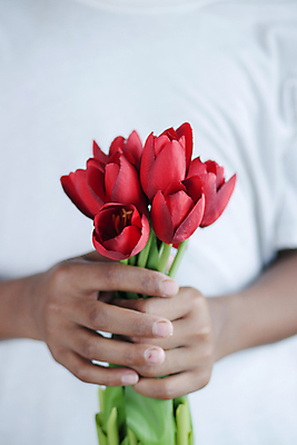 포토 JPG 해외이미지 모양 손 남자 리본 발렌타인데이 선물 사랑 사람없음 빨간색 튤립 흰색 축하 잡기 심볼 해외202309 해외포토 꽃 감정 컬러 컨셉 모션 데이이벤트 사람 신체부위 파일형식