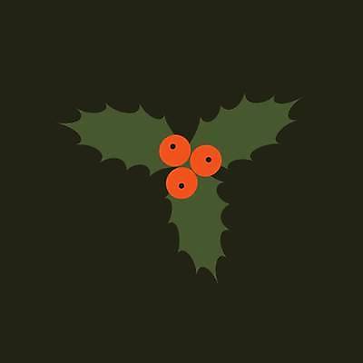 EPS 해외이미지 식물 전통 디자인 계절 열매 행복 유럽 백그라운드 컨셉 낙엽 잎 크리스마스 겨울 꽃무늬 일러스트 자연 추상 휴가 미술 그래픽 장식 빨간색 초록색 뷰티 축제 수확 나뭇가지 축하 12월 연도 심볼 사인 그림 고립 엘리먼트 스타일 벡터 해외202309 해외일러스트 나무 기념일 꽃 감정 나라 컬러 무늬 농업 문화예술 날짜 생태계 파일형식