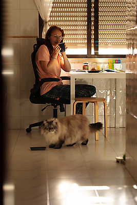 포토 JPG 해외이미지 백인 라이프스타일 웰빙 여자 안경 커피 창문 발 탁자 아침 주택 실내 건강 한명 앉기 성인 빛 반려동물 주방 고양이 비즈니스우먼 달콤 맛 주말 솜털 혼자 해외202309 해외포토 주간 서양인 동물 1 잡화 음료 가구 컨셉 비즈니스 포유류 모션 사람 내부 건물 생활 신체부위 직장인 파일형식