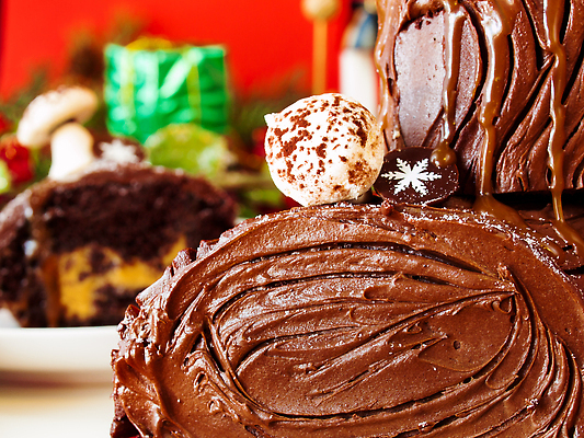 포토 JPG 해외이미지 크리스마스 근접촬영 사람없음 갈색 달콤 초코케이크 롤케이크 부쉬드노엘 해외202309 해외포토 기념일 뷰포인트 컬러 케이크 맛 파일형식