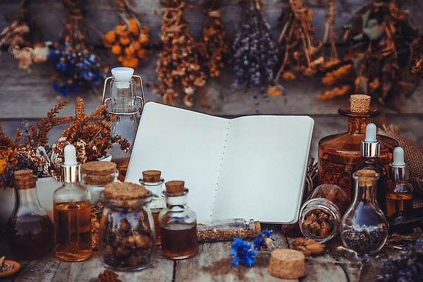 포토 JPG 해외이미지 꽃 유리병 사람없음 공책 드라이플라워 공병 말린재료 카피스페이스 해외202309 해외포토 식물 병_용기 문구용품 공백 병_담는 파일형식