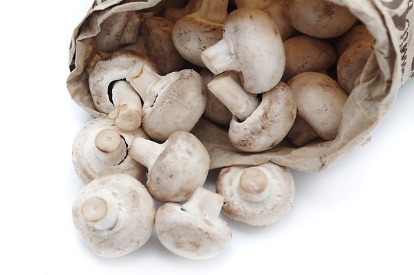 포토 JPG 해외이미지 음식 백그라운드 채소 가방 건강 사람없음 버섯 수확 흰색 흘림 입가심 채식주의자 세련 비건 해외202309 해외포토 잡화 컬러 농업 모션 채식 파일형식