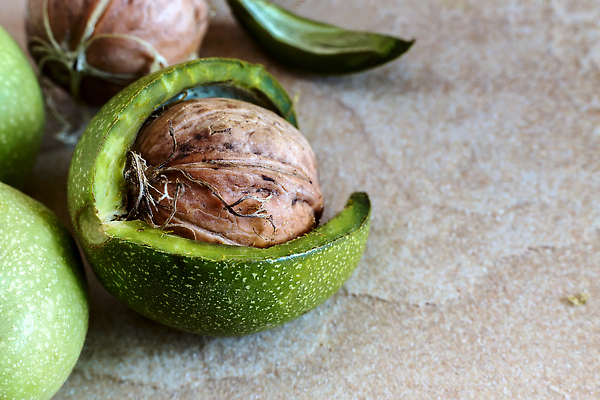 포토 JPG 해외이미지 나무 음식 백그라운드 과일 재료 자연 탁자 건조 실내 건강 사람없음 야외 가로 초록색 갈색 노란색 쌓기 견과류 껍질 시골 신선 그룹 균열 유기농 날것 호두 내추럴 단백질 채식주의자 핵심 카피스페이스 맛있는 해외202309 해외포토 식물 웰빙 컬러 가구 모션 내부 공백 생태계 채식 영양소 파일형식