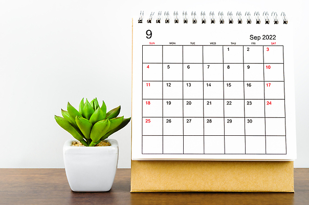 포토 JPG 해외이미지 디자인 종이 비즈니스 탁자 휴가 설계 이벤트 사람없음 장식 사무실 우주 사무용품 공백 자유 달력 일주일 조직 9월 책상 페이지 월 월요일 카피스페이스 비어있는 해외202309 해외포토 가구 컨셉 문구용품 날짜 요일 파일형식