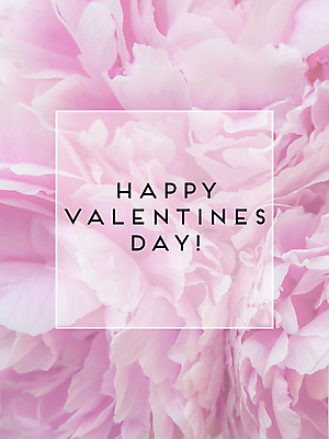 포토 JPG 해외이미지 디자인 여자 꽃잎 꽃 행복 분홍색 컬러 꽃다발 결혼 백그라운드 꽃무늬 텍스트 가족 관계 포옹 자연 추상 휴가 함께함 발렌타인데이 선물 사랑 사람없음 장식 빛 컬러풀 뷰티 낭만 수확 흰색 축하 인사 신선 신용카드 생일 배열 싱글 2월 존재 해외202309 해외포토 식물 기념일 감정 컨셉 무늬 농업 안기 데이이벤트 사람 이벤트 금융 예절 날짜 생태계 파일형식