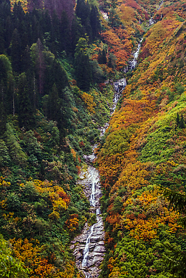 포토 JPG 해외이미지 나무 공원 여행 잎 자연 휴가 산 사람없음 야외 초록색 물 관광지 강 환경 계곡 폭포 안개 개울 떨어짐 숲 신비 열대우림 자연백그라운드 장노출 칠면조 내추럴 뿌연 삼림지대 해외202309 해외포토 자연요소 식물 공공시설 컬러 백그라운드 컨셉 조류 날씨 촬영기법 생태계 파일형식