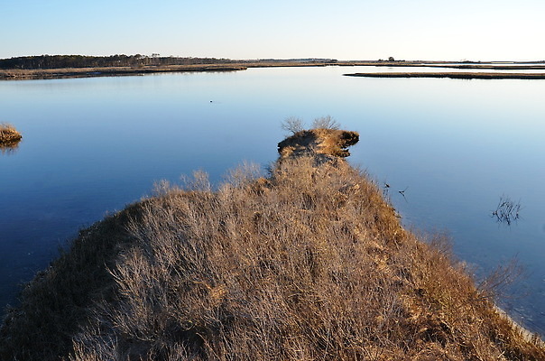 포토 JPG 해외이미지 식물 호수 바다 자연 하늘 잔디 사람없음 야외 물 강 갈색 연못 습지 해외202309 해외포토 자연요소 컬러 생태계 파일형식