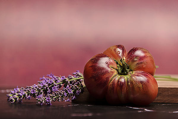 포토 JPG 해외이미지 식물 음식 컬러 농업 다이어트 토마토 채소 과일 재료 자연 건강 요리 사람없음 목재 빨간색 초록색 검은색 흰색 신선 호랑이 그룹 맛 먹기 준비 유기농 날것 건강식 내추럴 고립 숙성 채식주의자 핸드메이드 카피스페이스 맛있는 나무배경 해외202309 해외포토 나무 웰빙 산업 백그라운드 컨셉 포유류 모션 공백 생태계 채식 파일형식