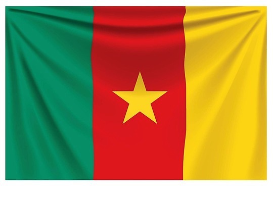 EPS 해외이미지 디자인 배너 별 파도 컬러 백그라운드 컨셉 일러스트 바람 미술 그래픽 빨간색 초록색 노란색 자유 축하 깃발 직물 실크 심볼 오브젝트 사인 그림 질감 배지 애국심 대통령 엘리먼트 오리지널 전국 정부 카메룬 벡터 해외202309 해외일러스트 자연요소 바다 아프리카 날씨 문화예술 파일형식