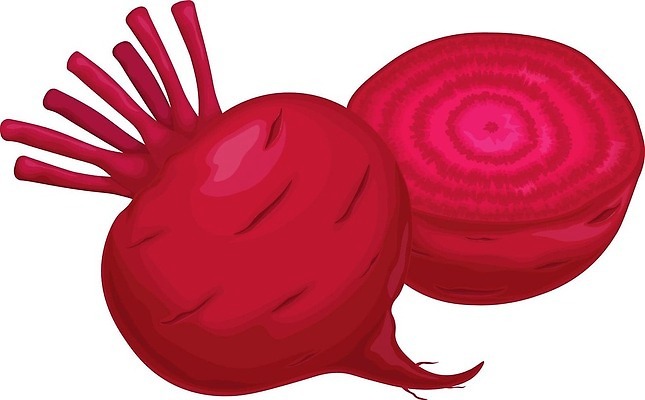 EPS 해외이미지 식물 디자인 배너 음식 백그라운드 스티커 잎 농업 다이어트 채소 일러스트 재료 자연 건강 요리 그래픽 빨간색 초록색 정원 보라색 샐러드 수확 신선 플랫 달콤 상품 인쇄 심볼 오브젝트 유기농 날것 뿌리 비타민 내추럴 고립 비트 숙성 엘리먼트 채식주의자 벡터 비건 해외202309 해외일러스트 웰빙 산업 컬러 맛 생태계 채식 영양소 파일형식