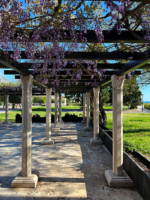 포토 JPG 해외이미지 나무 디자인 꽃잎 꽃 건축양식 사람없음 야외 건물 목재 초록색 빛 정원 보라색 벚꽃 닫기 다발 타일 원예 라일락 해외202309 해외포토 식물 건축물 건축 컬러 재료 모션 취미 파일형식