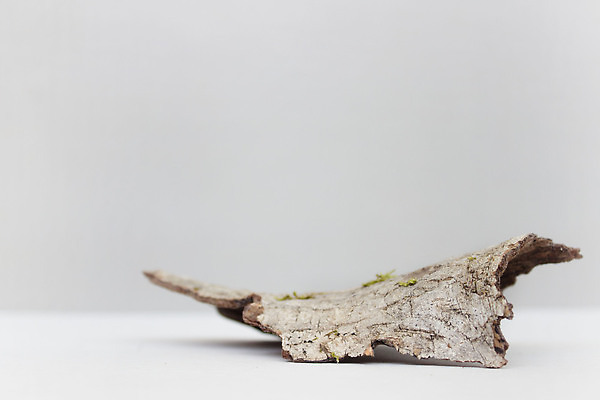 포토 JPG 해외이미지 템플릿 배너 자연 추상 사람없음 야외 뷰티 우주 환경 화장품 공백 무대 상품 전시회 받침대 에코 친환경 진열장 단상 내추럴 마케팅 지휘대 콘크리트 파스텔톤 목업 카피스페이스 비어있는 해외202309 해외포토 컬러 무늬 전시 생태계 파일형식