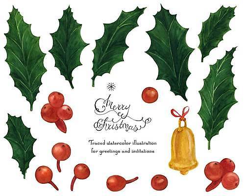 EPS 해외이미지 식물 전통 꽃다발 크리스마스 꽃무늬 오렌지 일러스트 캘리그라피 휴가 새해 이야기 선물 미술 장식 빨간색 초록색 종 나뭇가지 인사 만화 흰배경 초대 손그림 마법 고립 엘리먼트 옛날 레터링 해외202309 해외일러스트 나무 기념일 꽃 컬러 백그라운드 무늬 과일 문화예술 흰색 예절 파일형식 벡터