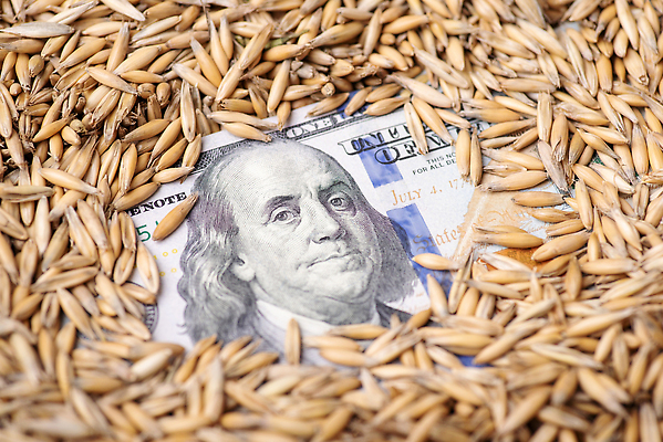 포토 JPG 해외이미지 식물 음식 백그라운드 컨셉 돈 비즈니스 씨앗 사람없음 농작물 농장 갈색 노란색 달러 수확 화물 성장 낟알 가격 시리얼 밀 무역 상업 날것 계산서 밭일 수입 귀리 해외202309 해외포토 산업 컬러 농업 곡류 운송업 재산 파일형식