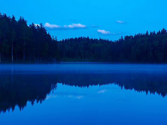 포토 JPG 해외이미지 나무 공원 호수 컬러 섬 여행 캐나다 자국 자연 하늘 아침 낚시 사람없음 야외 목재 초록색 물 파란색 빛 강 컬러풀 태양 반사 일출 어둠 봄 거울 안개 흰색 연못 소나무 황금 숲 속도 상승 러시아 뿌연 가문비나무 해외202309 해외포토 주간 자연요소 식물 계절 공공시설 유럽 컨셉 북아메리카 재료 레저 날씨 노을 생태계 파일형식