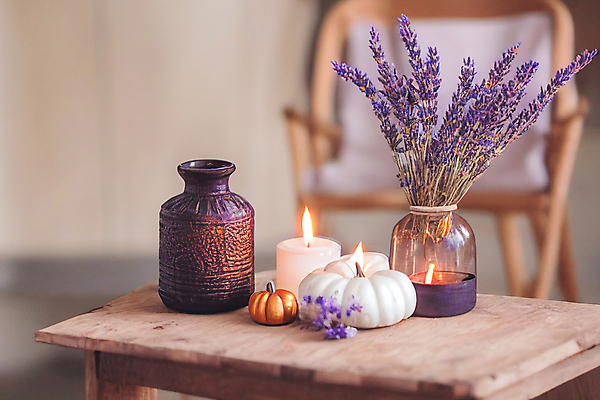 포토 JPG 해외이미지 전통 라이프스타일 디자인 계절 꽃 커피 음료 꽃다발 잎 겨울 탁자 호박 휴식 주택 따뜻함 사람없음 내부 목재 장식 책 컵 빛 독서 유행 3D 축제 방 할로윈 머그컵 수확 신선 우아함 아침식사 추수감사절 구성 스칸디나비아 정물화 화상 미니멀리스트 미니멀 안락 해외202309 해외포토 나무 식물 식기 기독교 가구 컨셉 농업 채소 재료 건물 생활 식사 상처 디지털합성 그림 파일형식