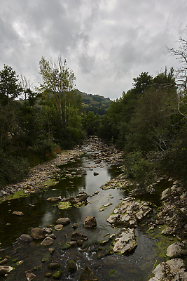 포토 JPG 해외이미지 나무 구름 야생동물 여행 백그라운드 자연 하늘 아침 조명 풍경 사람없음 야외 초록색 물 파란색 빛 강 햇빛 반사 평화 일출 침묵 새벽 폭포 흐름 안개 전원 신선 개울 연기 저녁 숲 언덕 강렬 생태학 웅장함 절정 지질학 해외202309 해외포토 주간 자연요소 식물 동물 교육 컬러 컨셉 날씨 태양 노을 소리 전기에너지 야간 생태계 파일형식