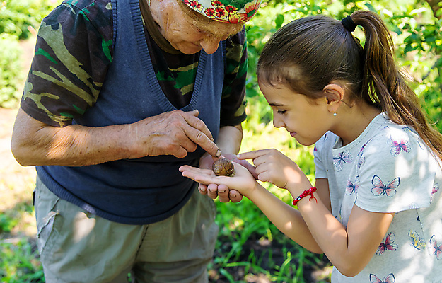 포토 JPG 해외이미지 식물 동물 1 라이프스타일 손 배너 응시 공원 교육 행복 할머니 어린이 백그라운드 학교 자연 유리 놀이 돋보기 손녀 사랑 사람 야외 두명 초록색 학습 스터디 정원 작음 오브젝트 생물학 발견 옛날 카피스페이스 해외202309 해외포토 시선 공공시설 여자 노년 감정 컬러 재질 생활 신체부위 공백 크기 손주 생태계 파일형식