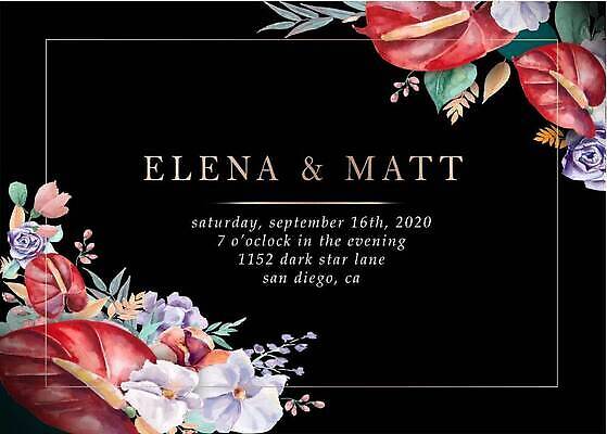 EPS 해외이미지 템플릿 배너 계절 꽃 꽃다발 결혼 백그라운드 크리스마스 꽃무늬 일러스트 자연 휴가 프레임 사랑 장식 빨간색 초록색 빛 장미 파티 유행 검은색 어둠 봄 수확 벚꽃 나뭇가지 축하 신용카드 생일 화려 개화 난초 황금 고급 우아함 다발 메뉴 초대 유칼립투스 스타일 벡터 세련 해외202309 해외일러스트 나무 식물 기념일 감정 컬러 컨셉 무늬 농업 이벤트 금융 생태계 파일형식