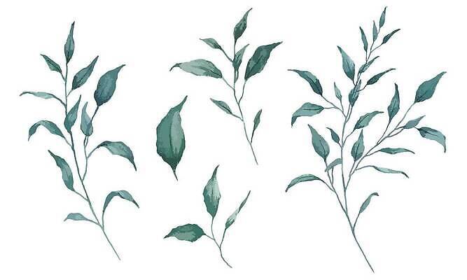 EPS 해외이미지 나무 식물 디자인 꽃 컬러 결혼 백그라운드 잎 꽃무늬 패턴 일러스트 자연 미술 장식 초록색 컬러풀 뷰티 정원 봄 수확 나뭇가지 시골 신선 수집 허브 그림 질감 초대 내추럴 고립 생태학 엘리먼트 벡터 그리너리 해외202309 해외일러스트 계절 교육 무늬 농업 문화예술 이벤트 생태계 파일형식 트랜드컬러