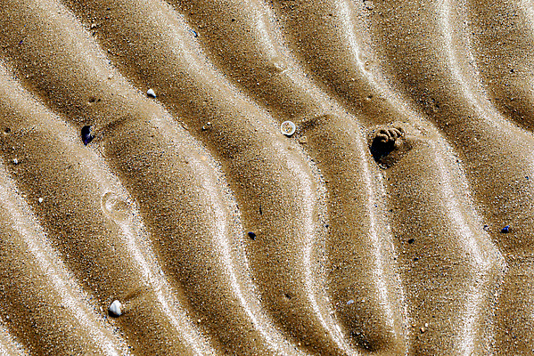 포토 JPG 해외이미지 디자인 모래 파도 바다 컬러 여행 백그라운드 컨셉 패턴 자연 벽지 조류 표면 추상 조개 해변 사람없음 야외 물 여름 모래사장 햇빛 태양 뷰티 갈색 노란색 우주 맑음 사막 껍질 모래언덕 질감 내추럴 해외202309 해외포토 자연요소 동물 계절 무늬 날씨 어패류 언덕 생태계 파일형식