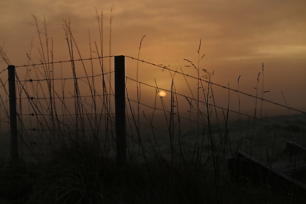 포토 JPG 해외이미지 백그라운드 자연 하늘 아침 그림자 풍경 잔디 사람없음 야외 울타리 태양 뷰티 일출 냉동 침묵 추위 해외202309 해외포토 주간 자연요소 식물 담장 노을 소리 생태계 파일형식