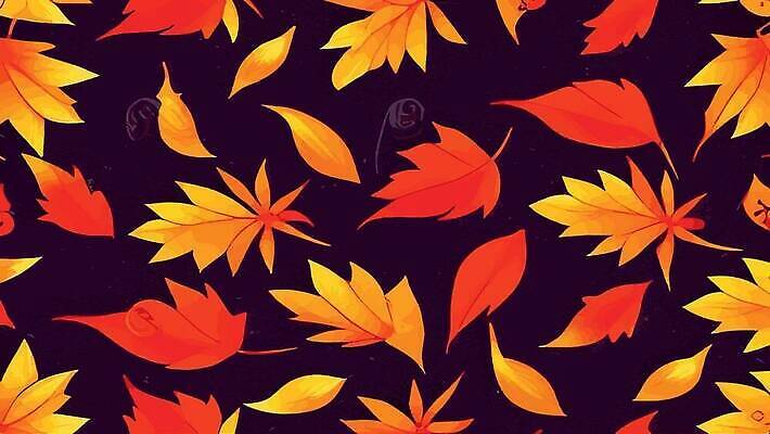 EPS 해외이미지 모양 식물 디자인 계절 꽃잎 컬러 백그라운드 단풍 낙엽 잎 패턴 오렌지 일러스트 텍스트 자연 추상 프레임 이벤트 장식 빨간색 초록색 빛 컬러풀 노란색 우주 벚꽃 그리기 황금 플랫 떨어짐 숲 수집 허브 질감 그런지 생태학 벡터 카피스페이스 해외202309 해외일러스트 교육 꽃 컨셉 무늬 과일 모션 공백 생태계 파일형식