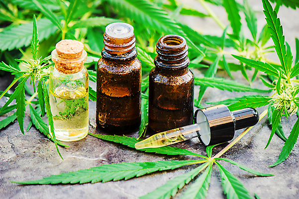 포토 JPG 해외이미지 백그라운드 잎 자연 사람없음 아웃포커스 뷰티 신선 오일 수분 내추럴 해외202309 해외포토 식물 음식 촬영기법 화장품 생태계 파일형식