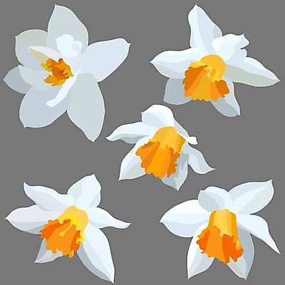 EPS 해외이미지 식물 손 디자인 계절 꽃잎 꽃 잎 꽃무늬 일러스트 자연 부활절 미술 그래픽 장식 여름 세트 컬러풀 뷰티 노란색 정원 봄 낭만 벚꽃 흰색 신선 개화 우아함 심볼 싱글 그림 원예 수선화 내추럴 고립 엘리먼트 벡터 해외202309 해외일러스트 기념일 컬러 컨셉 무늬 문화예술 취미 신체부위 생태계 파일형식