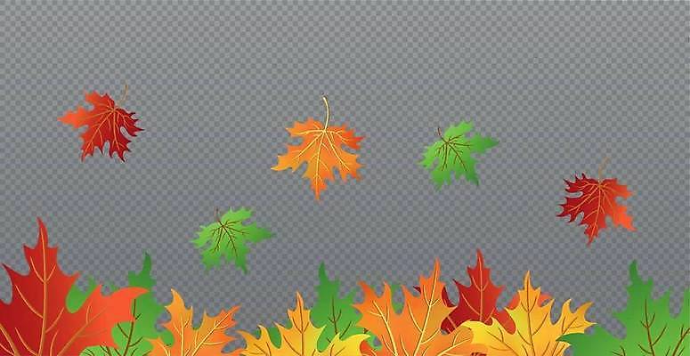 EPS 해외이미지 나무 식물 디자인 배너 계절 컬러 백그라운드 컨셉 단풍 잎 캐나다 꽃무늬 패턴 오렌지 일러스트 자연 벽지 추상 프레임 미술 그래픽 장식 빨간색 컬러풀 뷰티 갈색 노란색 환경 활발 가을 흰색 황금 숲 9월 11월 심볼 질감 10월 고립 엘리먼트 벡터 카피스페이스 국경 해외202309 해외일러스트 꽃 북아메리카 무늬 과일 문화예술 공백 날짜 생태계 파일형식