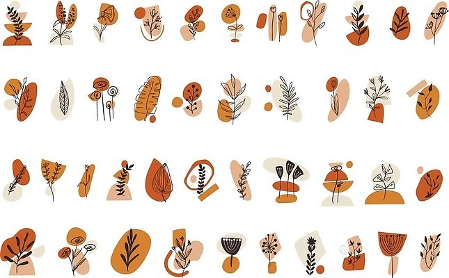 EPS 해외이미지 클립아트 모양 식물 템플릿 꽃 포스터 잎 꽃무늬 오렌지 일러스트 자연 벽지 추상 그래픽 장식 여름 세트 뷰티 유행 봄 낭만 벚꽃 가을 신용카드 인쇄 수집 허브 유기농 기하학 구성 소셜 벡터 미니멀리스트 미니멀 해외202309 해외일러스트 웰빙 계절 컨셉 무늬 과일 금융 생태계 파일형식