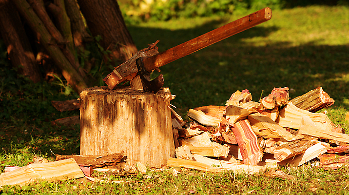 포토 JPG 해외이미지 나무 유럽 백그라운드 자연 손잡이 사람없음 야외 목재 초록색 쌓기 블록 장비 에너지 수확 공구 시골 업무 칼날 장작 자르기 천 생태계 통나무 날카로움 도끼 연료 수목 옛날 개조 해외202309 해외포토 식물 나라 컬러 농업 재료 모션 도구 직물 작업 파일형식