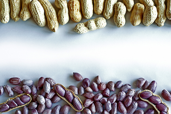 포토 JPG 해외이미지 음식 컬러 백그라운드 패턴 다이어트 재료 건조 건강 씨앗 사람없음 빛 세트 갈색 우주 견과류 껍질 흰색 신선 오픈 균열 맛 먹기 오브젝트 유기농 질감 땅콩 칼로리 내추럴 꼬투리 삶기 채식주의자 맛있는 해외202309 해외포토 식물 웰빙 컨셉 무늬 모션 채식 파일형식