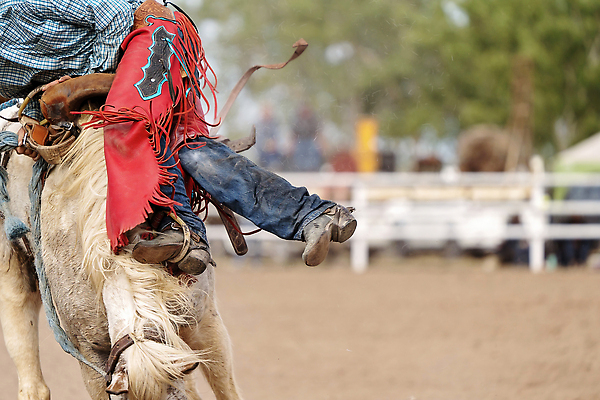 포토 JPG 해외이미지 동물 남자 밧줄 스포츠 포즈 모션 부츠 이벤트 사람없음 달러 점프 가축 경쟁 경기장 공연 시골 자신감 거친 승마 카우보이 호주 승차 주식 위험 속도 먼지 안장 로데오 라이더 서쪽 어려움 오지 해외202309 해외포토 감정 줄 신발 컨셉 돈 스포츠시설 사람 금융 오세아니아 방향 파일형식
