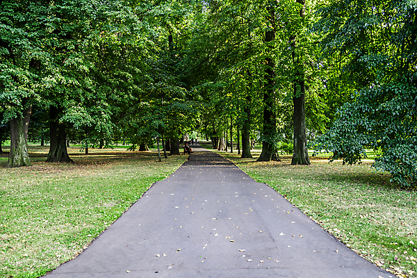 포토 JPG 해외이미지 나무 식물 공원 도로 길 컬러 여행 백그라운드 잎 벤치 건축양식 자연 하늘 휴식 거리 사람 풍경 잔디 사람없음 야외 건물 초록색 여름 파란색 빛 도시풍경 뷰티 환경 정원 맑음 봄 산책 도시 숲 오솔길 러시아 타운 일반 내추럴 랜드마크 방법 해외202309 해외포토 건축물 계절 공공시설 건축 유럽 컨셉 의자 교통시설 날씨 생태계 파일형식
