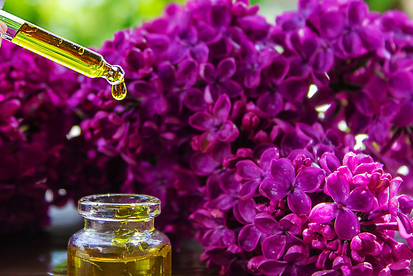 포토 JPG 해외이미지 식물 라이프스타일 웰빙 배너 꽃 분홍색 꽃다발 백그라운드 꽃무늬 신체 자연 유리 휴식 건강 사람없음 목재 치료 뷰티 약 보라색 스파 봄 화장품 벚꽃 흰색 신선 마사지 약국 소중 허브 향수 준비 향기 아로마 아로마테라피 테라피 라일락 내추럴 돌봄 에센스 추출 카피스페이스 해외202309 해외포토 나무 계절 컬러 컨셉 무늬 재료 의학 모션 재질 생활 공백 생태계 냄새 파일형식