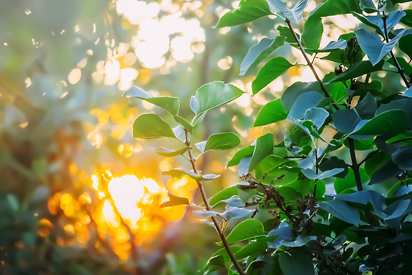 포토 JPG 해외이미지 유럽 파도 바다 여행 백그라운드 지도 오렌지 자연 하늘 아침 사람없음 건물 빨간색 파란색 빛 햇빛 태양 뷰티 반사 노란색 일출 희망 황혼 일몰 새벽 저녁 신호 랜드마크 수평선 해외202309 해외포토 주간 자연요소 건축물 감정 나라 컬러 과일 노을 야간 생태계 파일형식