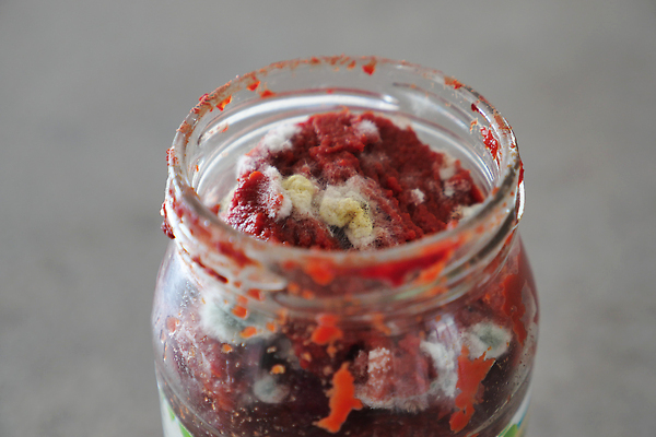 포토 JPG 해외이미지 부분 건강 사람없음 초록색 검은색 껍질 오염 캔 은색 질병 위험 낟알 컨테이너 오브젝트 생물학 밀가루 통조림 나쁜 방법 옛날 해로움 노화 해외202309 해외포토 교육 산업 컬러 컨셉 의학 가루 파일형식