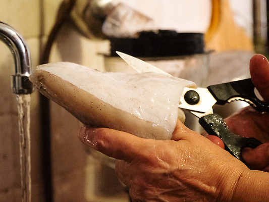 포토 JPG 해외이미지 동물 접시 웰빙 다이어트 가정 생물 연체동물 무척추동물 주택 건강 육류 어류 요리 한명 동양인 사람없음 주방 요리사 중국 이탈리아 잡기 씻기 자르기 먹기 해산물 오징어 준비 날것 손질 팔 음식준비 해외202309 해외포토 직업 1 식기 유럽 아시아 식재료 모션 사람 인종 건물 신체부위 수중동물 청결 파일형식