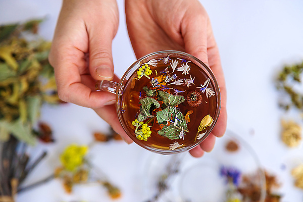 포토 JPG 해외이미지 꽃 들기 신체부위 약초 찻잔 드라이플라워 꽃차 말린재료 해외202309 해외포토 식물 모션 잔 사람 차_음료 풀_식물 파일형식