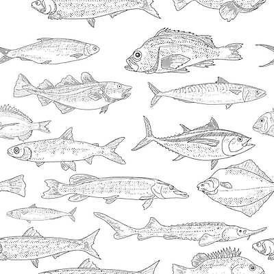 EPS 해외이미지 백그라운드 패턴 일러스트 종류 어류 사람없음 회색 다양 빈티지 라인아트 해산물 고등어 넙치 농어 청어 철갑상어 해외202309 해외일러스트 선 컬러 다수 컨셉 무늬 수중동물 민물고기 파일형식 벡터