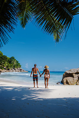 포토 JPG 해외이미지 나무 백인 라이프스타일 커플 행복 유럽 바다 섬 여행 아프리카 자연 휴가 손바닥 동양인 야외 두명 파란색 뷰티 침묵 일몰 휴양지 인도양 세이셸 로스앤젤레스 항공촬영 드론 이국적 터키석 파라다이스 화강암 해외202309 해외포토 서양인 식물 손 감정 나라 뷰포인트 컬러 관계 사람 인종 생활 노을 미국 소리 장소 암석 보석 생태계 파일형식
